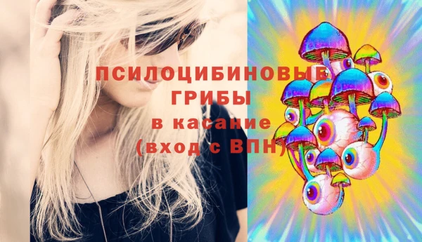 МДПВ Алексеевка