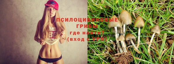 МДПВ Алексеевка