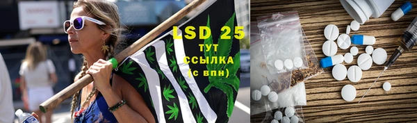 амф Алексин