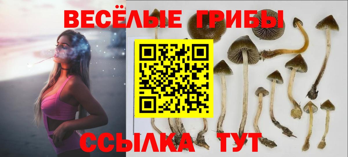 Галлюциногенные грибы Psilocybine cubensis  Вход с VPN  хочу   Ревда 